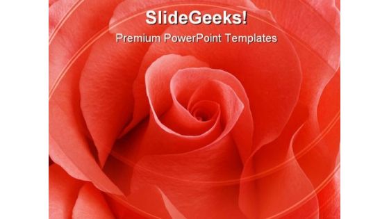 Rose01 Beauty PowerPoint Templates And PowerPoint Backgrounds 0711