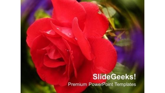 Rose And Petals Background PowerPoint Templates Ppt Backgrounds For Slides 1212 Rose And Petals Background PowerPoint Templates Ppt Backgrounds For Slides 1212