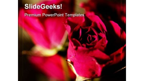 Roses Beauty PowerPoint Templates And PowerPoint Backgrounds 0311