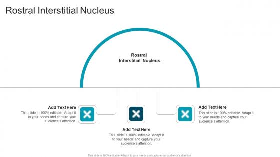 Rostral Interstitial Nucleus In Powerpoint And Google Slides Cpb Rostral Interstitial Nucleus In Powerpoint And Google Slides Cpb