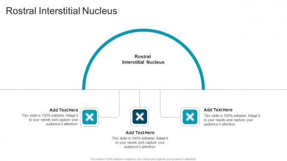 Rostral Interstitial Nucleus In Powerpoint And Google Slides Cpb