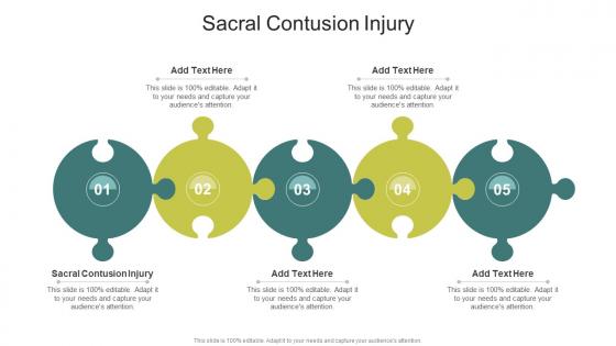 Sacral Contusion Injury In Powerpoint And Google Slides Cpb