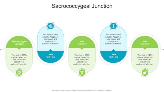 Sacrococcygeal Junction In Powerpoint And Google Slides Cpb