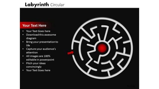 Sales Diagram Labyrinth Circular Business Finance Strategy Development