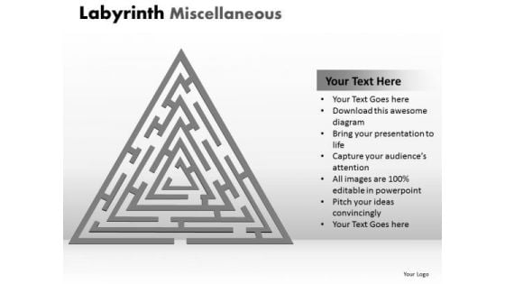 Sales Diagram Labyrinth Misc1 Business Finance Strategy Development