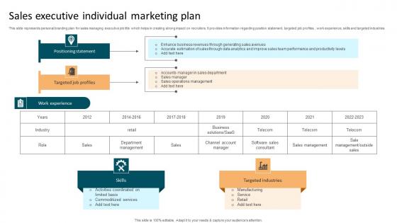 Sales Executive Individual Marketing Plan Sample Pdf