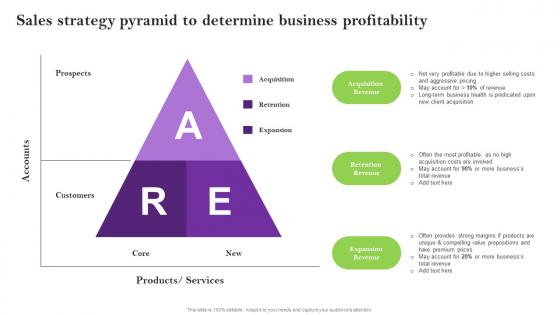 Sales Strategy Pyramid To Determine Business Sales Techniques For Achieving Rules Pdf