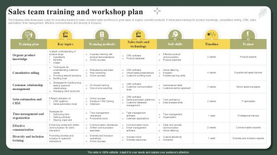 Sales Team Training And Workshop Plan Successful Launch Ppt Example
