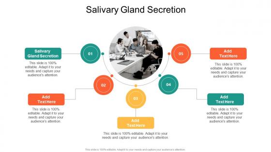Salivary Gland Secretion In Powerpoint And Google Slides Cpb