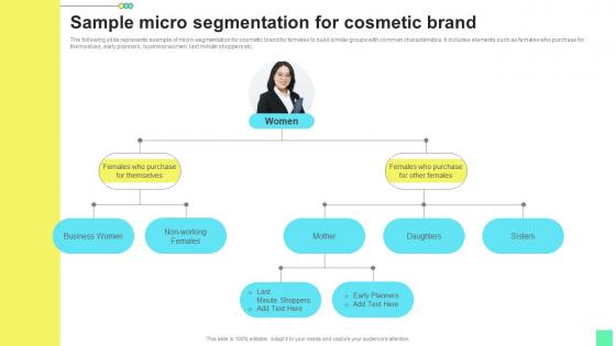 Sample Micro Segmentation For Introduction To Niche Marketing Audience Segmentation Introduction Pdf