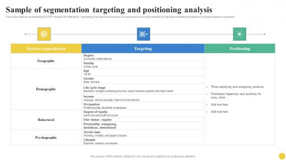 Sample Of Segmentation Targeting And Positioning Analysis User Segmentation Inspiration Pdf