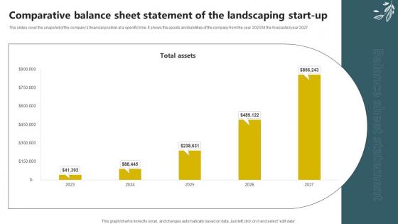 Sample Trugreen Business Plan Comparative Balance Sheet Statement Of The Landscaping BP SS V