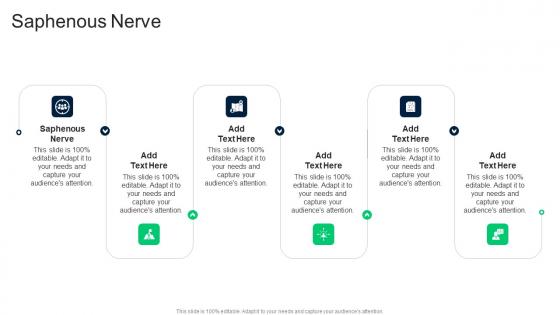 Saphenous Nerve In Powerpoint And Google Slides Cpb