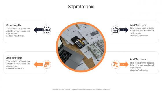 Saprotrophic In Powerpoint And Google Slides Cpb