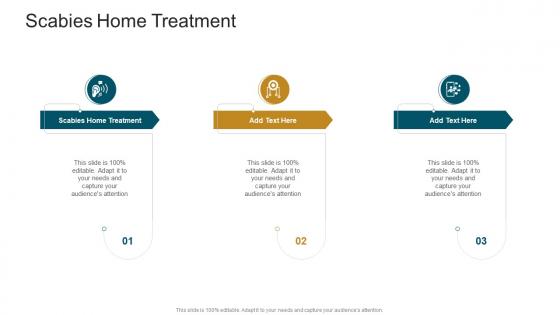 Scabies Home Treatment In Powerpoint And Google Slides Cpb