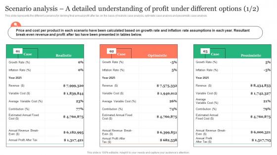 Scenario Analysis A Detailed Understanding Of Profit Dinsurance Business Plan Portrait Pdf