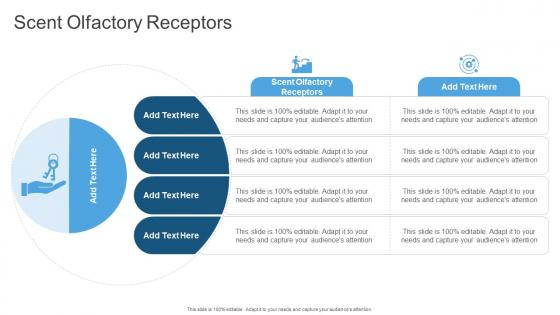 Scent Olfactory Receptors In Powerpoint And Google Slides Cpb