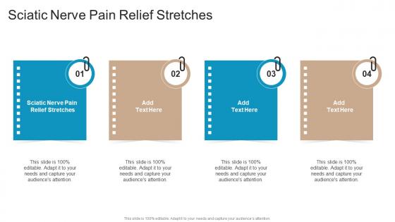 Sciatic Nerve Pain Relief Stretches In Powerpoint And Google Slides Cpb