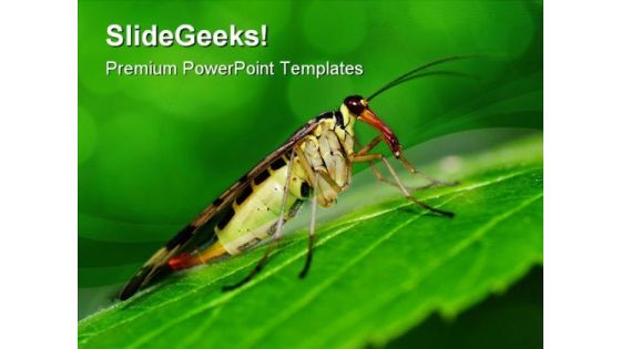Scorpionfly Nature PowerPoint Templates And PowerPoint Backgrounds 0111
