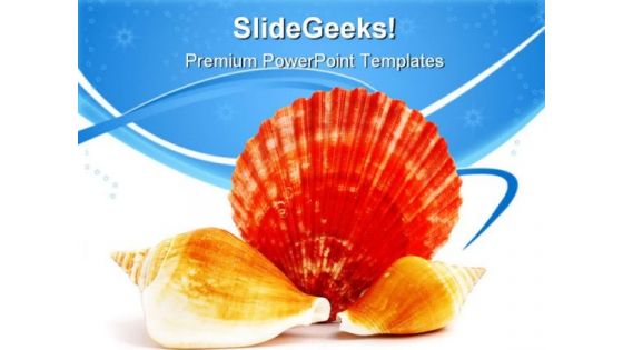 Seashell Beach Beauty PowerPoint Templates And PowerPoint Backgrounds 0611