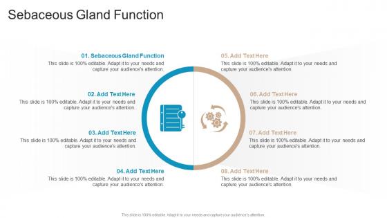 Sebaceous Gland Function In Powerpoint And Google Slides Cpb