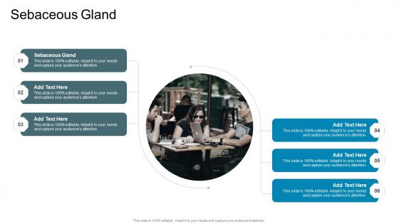 Sebaceous Gland In Powerpoint And Google Slides Cpb