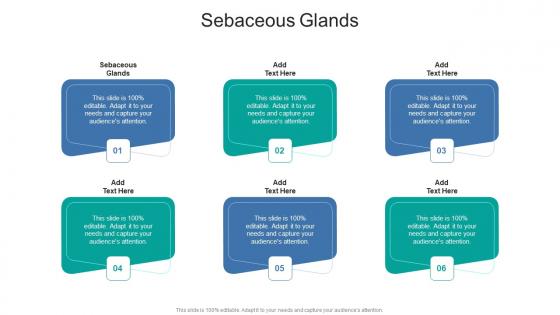 Sebaceous Glands In Powerpoint And Google Slides Cpb
