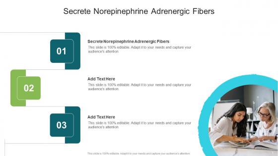 Secrete Norepinephrine Adrenergic Fibers In Powerpoint And Google Slides Cpb