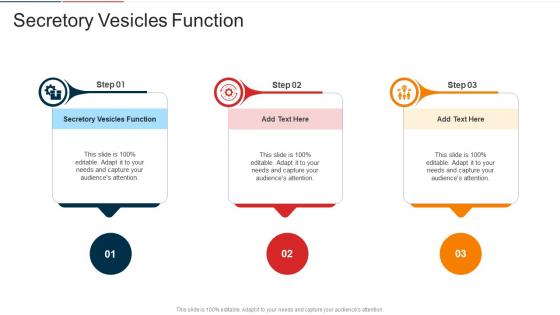 Secretory Vesicles Function In Powerpoint And Google Slides Cpb