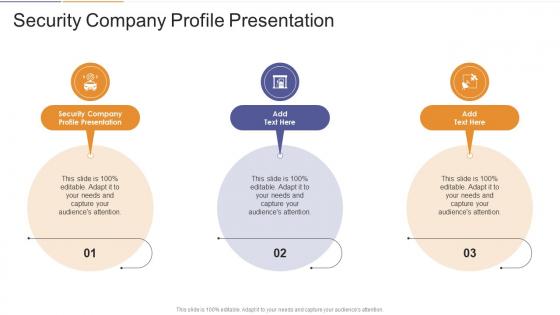 Security Company Profile Presentation In Powerpoint And Google Slides Cpb