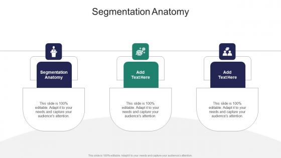 Segmentation Anatomy In Powerpoint And Google Slides Cpb