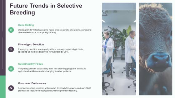 Selective Breeding Genetics Explained PPT Guidelines AT Slide19