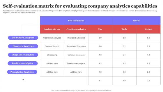 Self Evaluation Matrix For Evaluating Company Analytics Capabilities Ppt Professional Display PDF