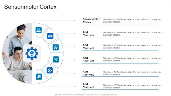 Sensorimotor Cortex In Powerpoint And Google Slides Cpb