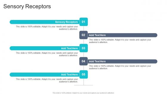 Sensory Receptors In Powerpoint And Google Slides Cpb