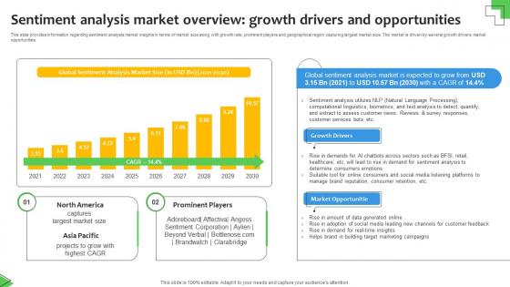 Sentiment Analysis Market Overview Growth Sentiment Analysis Demystified Understanding AI SS V