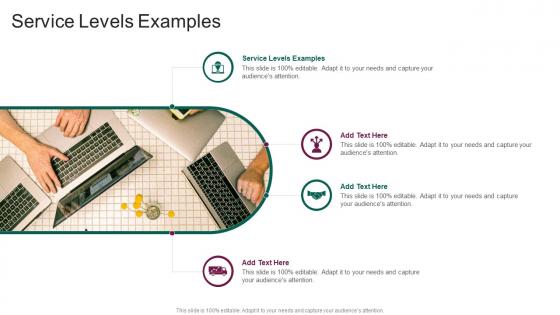 Service Levels Examples In Powerpoint And Google Slides Cpb