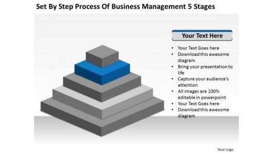 Set By Step Process Of Business Management 5 Stages Ppt Plan Tools PowerPoint Templates