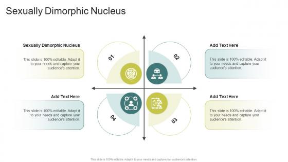 Sexually Dimorphic Nucleus In Powerpoint And Google Slides Cpb Sexually Dimorphic Nucleus In Powerpoint And Google Slides Cpb