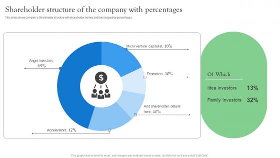 Shareholder Structure Of The Company With Startup Investment Sources Formats Pdf