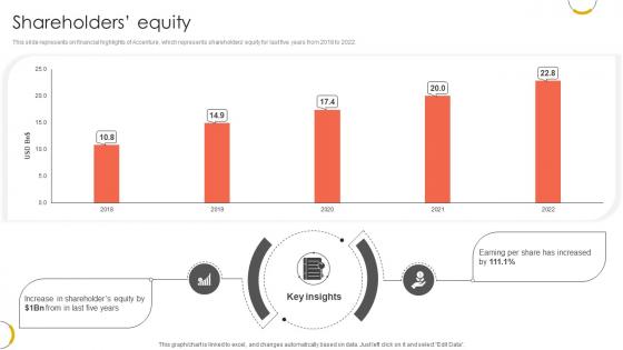 Shareholders Equity Professional Services And Technology Consulting Ppt Powerpoint CP SS V