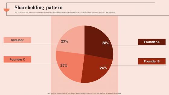 Shareholding Pattern Beauty Brands And Retailers Company Fund Raising Guidelines PDF