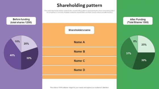 Shareholding Pattern Carelulu Shareholders Fund Raising Pitch Deck Graphics Pdf