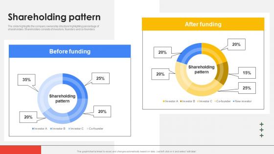 Shareholding Pattern Cloud Platform Provider Investor Funding Elevator Professional Pdf