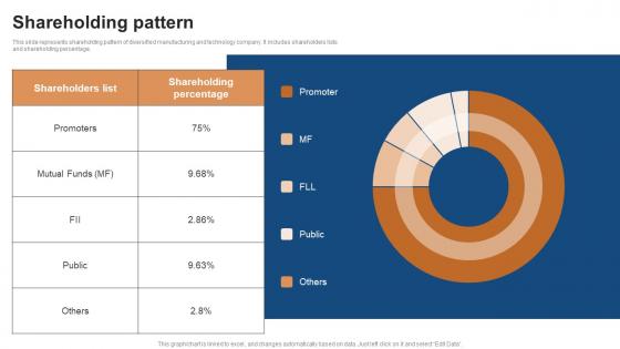 Shareholding Pattern Conglomerate Company Fund Raising Pitch Deck Portrait Pdf