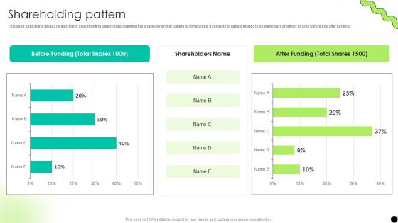 Shareholding Pattern Digital Payment Platform Pitch Deck