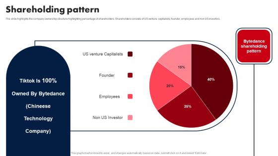 Shareholding Pattern E Media Platform Investor Fund Raising Ideas PDF