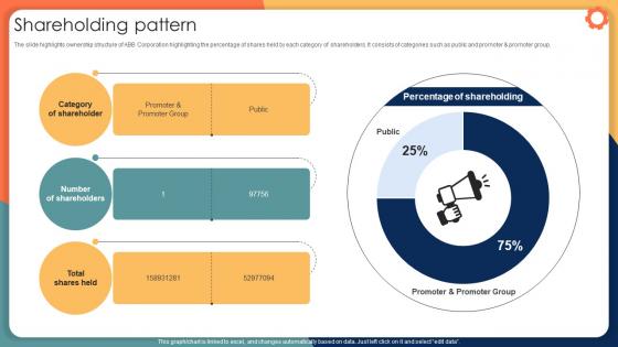 Shareholding Pattern Engineering Solution Provider Company Profile CP SS V