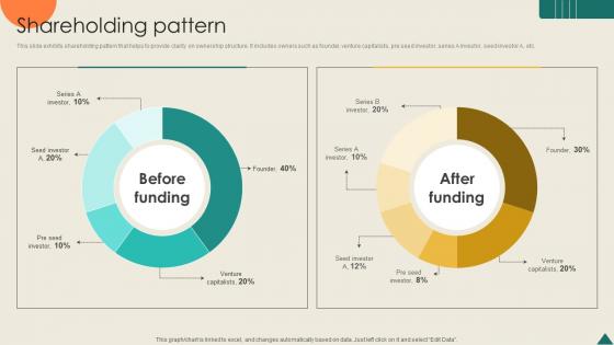 Shareholding Pattern Financial Analytics Platform Investor Elevator Pitch Deck