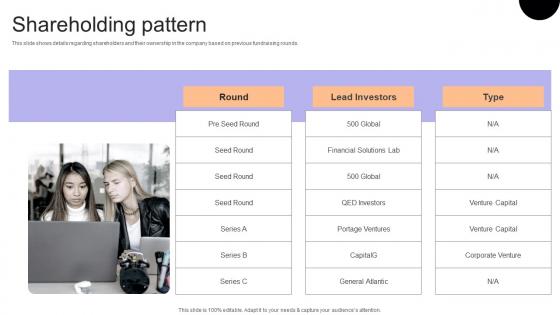 Shareholding Pattern Financial Consulting Platform Fundraising Pitch Deck Designs Pdf